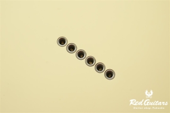 American Special Telecaster